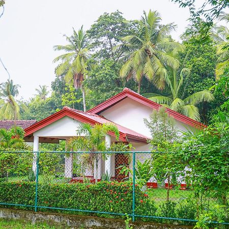Villa Ravichini بولاناروفاي المظهر الخارجي الصورة